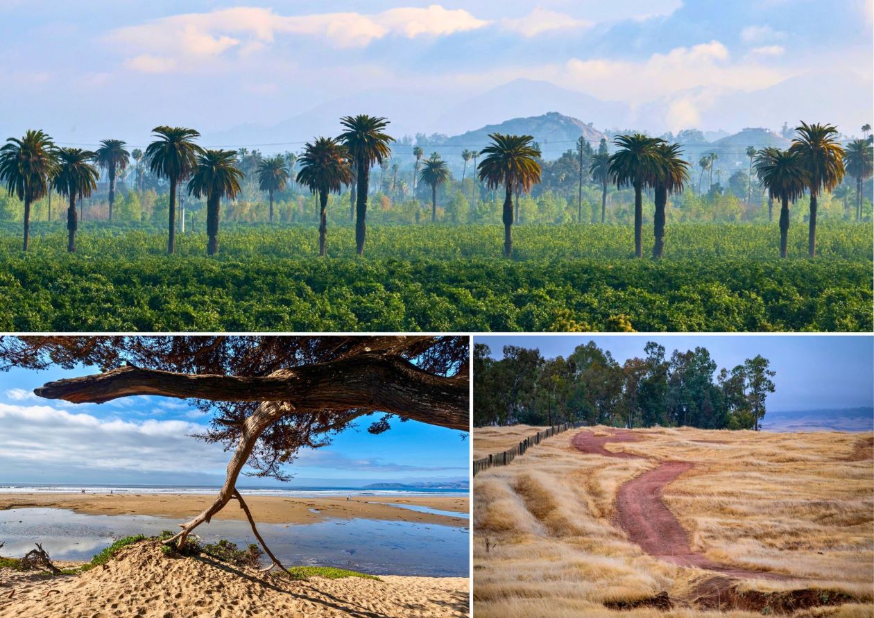 (Clockwise from top) California Citrus State Historic Park, Clay Pit State Vehicular Recreation Area, and Pismo State Beach are among the 142 state park units offering free admission to veterans and active and reserve military members on Memorial Day.